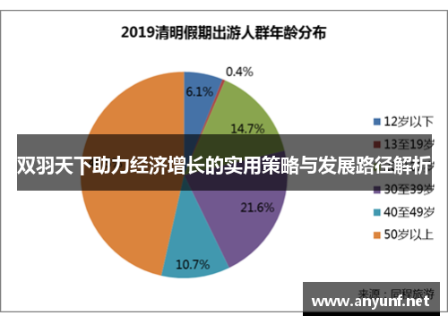 双羽天下助力经济增长的实用策略与发展路径解析