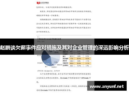赵鹏谈欠薪事件应对措施及其对企业管理的深远影响分析
